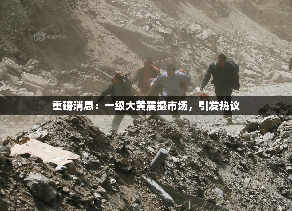 重磅消息：一级大黄震撼市场，引发热议