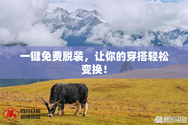 一键免费脱装，让你的穿搭轻松变换！