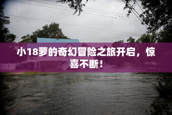 小18萝的奇幻冒险之旅开启，惊喜不断！