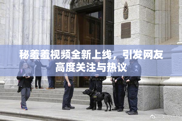 秘羞羞视频全新上线，引发网友高度关注与热议