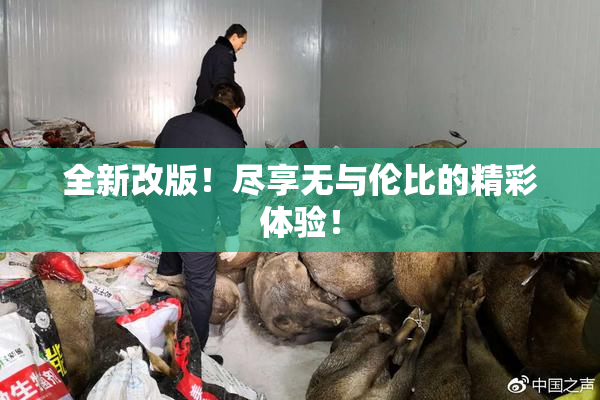 全新改版！尽享无与伦比的精彩体验！