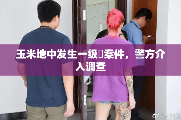 玉米地中发生一级婬案件，警方介入调查