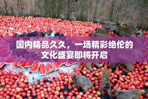 国内精品久久，一场精彩绝伦的文化盛宴即将开启