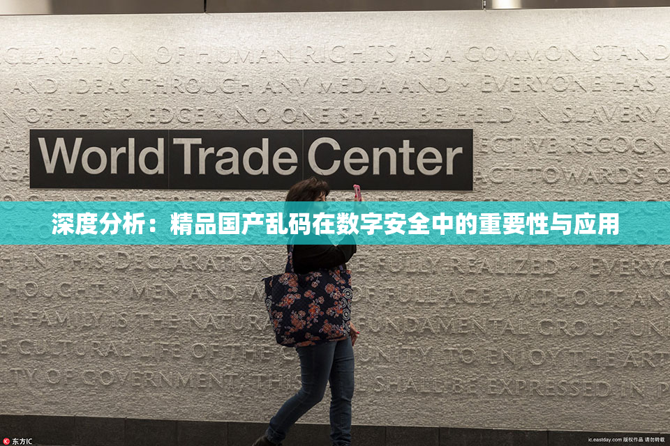 深度分析：精品国产乱码在数字安全中的重要性与应用