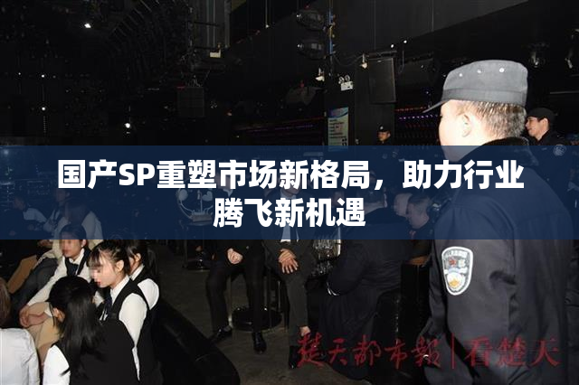 国产SP重塑市场新格局，助力行业腾飞新机遇