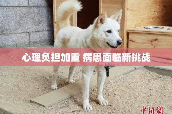 心理负担加重 病患面临新挑战