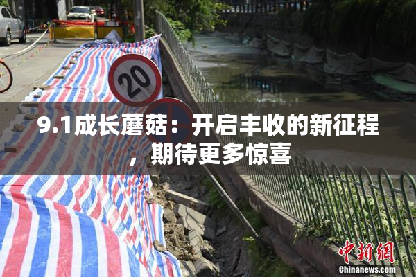 9.1成长蘑菇：开启丰收的新征程，期待更多惊喜