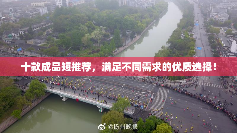 十款成品短推荐，满足不同需求的优质选择！