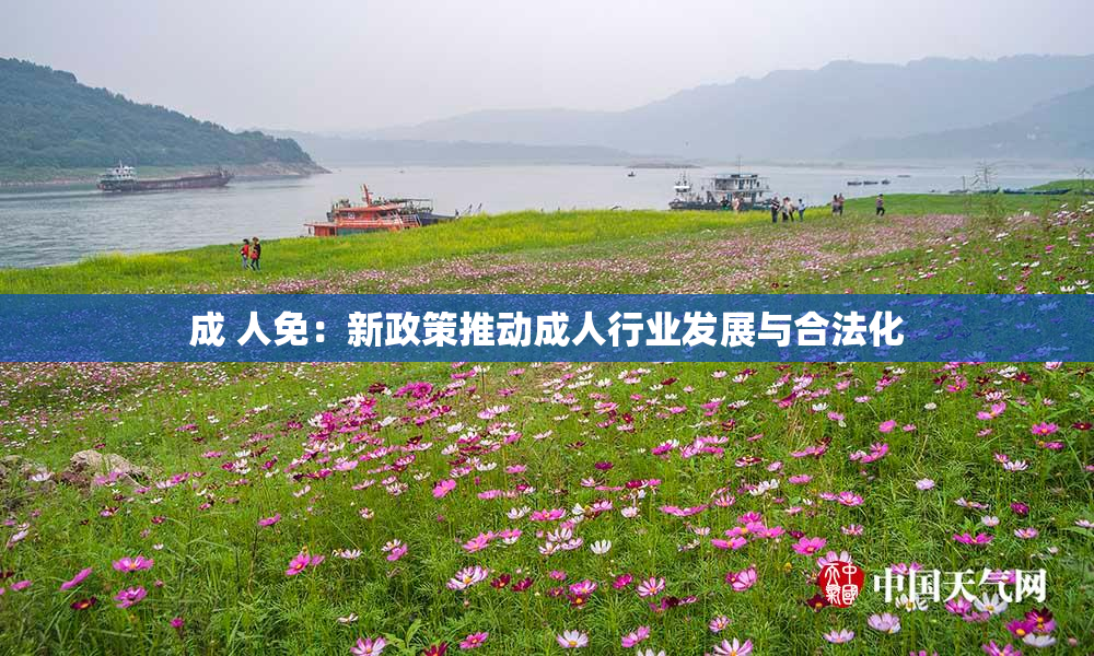 成 人免：新政策推动成人行业发展与合法化