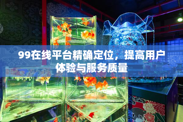 99在线平台精确定位，提高用户体验与服务质量
