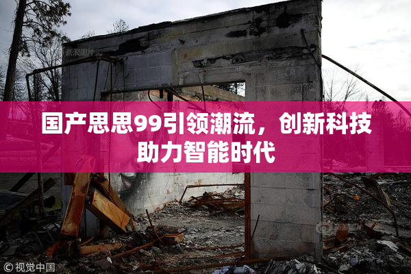 国产思思99引领潮流，创新科技助力智能时代