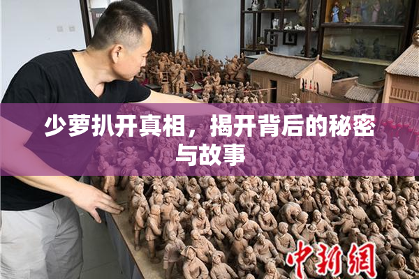 少萝扒开真相，揭开背后的秘密与故事