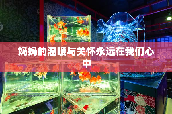 妈妈的温暖与关怀永远在我们心中