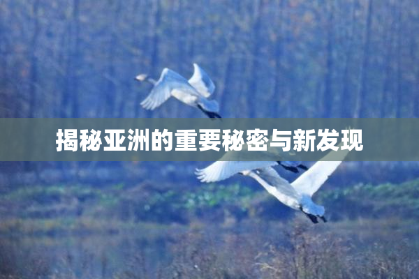 揭秘亚洲的重要秘密与新发现