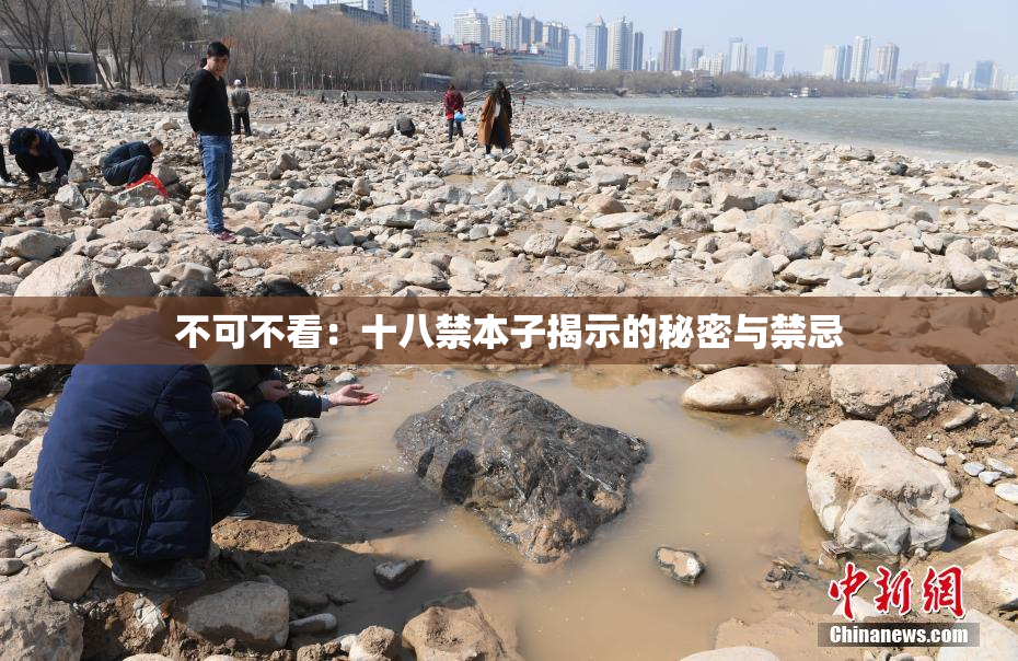 不可不看：十八禁本子揭示的秘密与禁忌