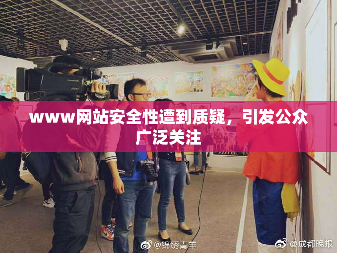 www网站安全性遭到质疑，引发公众广泛关注