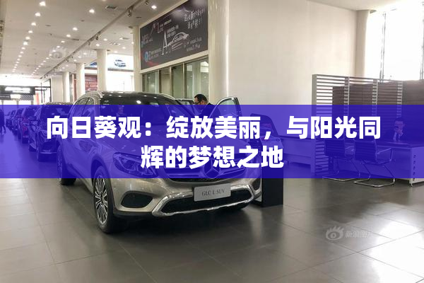 向日葵观：绽放美丽，与阳光同辉的梦想之地