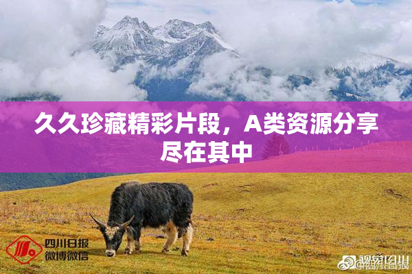 久久珍藏精彩片段，A类资源分享尽在其中