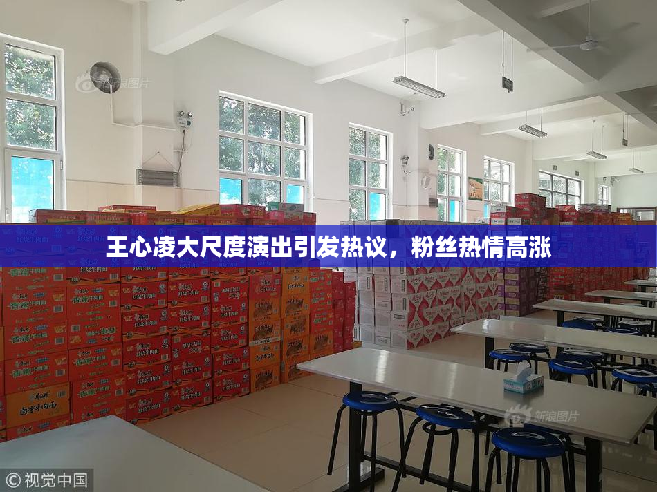 王心凌大尺度演出引发热议，粉丝热情高涨