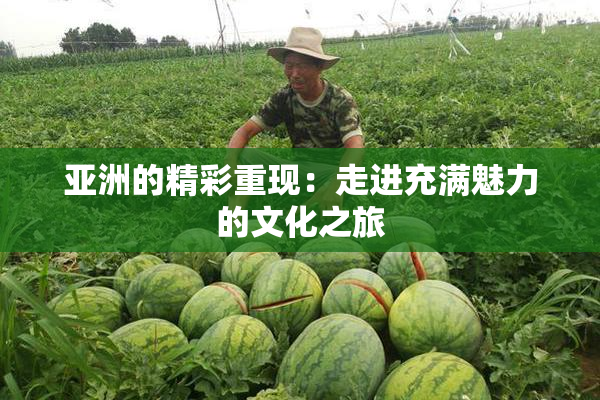 亚洲的精彩重现：走进充满魅力的文化之旅