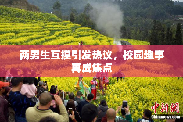 两男生互摸引发热议，校园趣事再成焦点