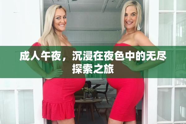 成人午夜，沉浸在夜色中的无尽探索之旅