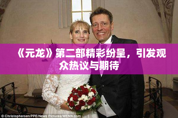 《元龙》第二部精彩纷呈，引发观众热议与期待
