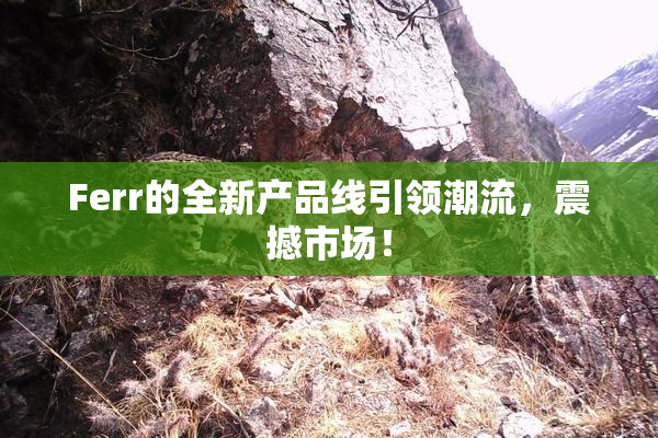 Ferr的全新产品线引领潮流，震撼市场！