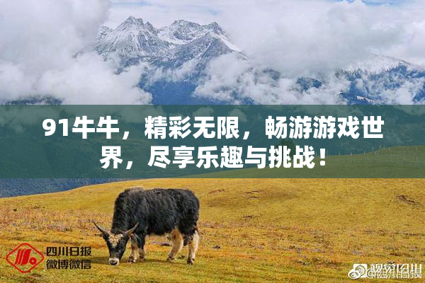 91牛牛，精彩无限，畅游游戏世界，尽享乐趣与挑战！