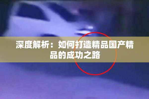 深度解析：如何打造精品国产精品的成功之路