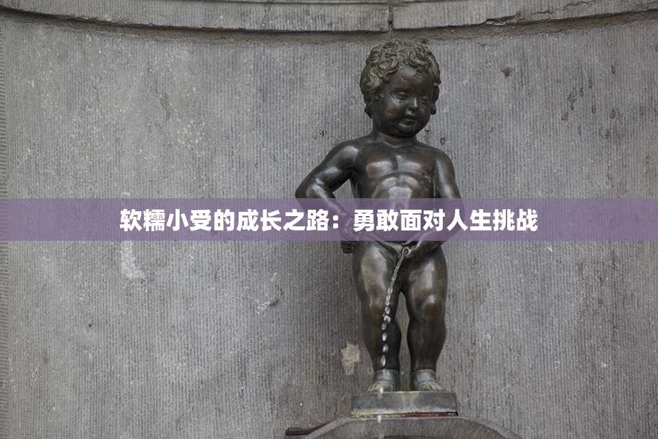 软糯小受的成长之路：勇敢面对人生挑战