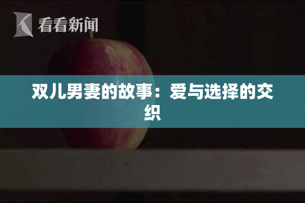 双儿男妻的故事：爱与选择的交织