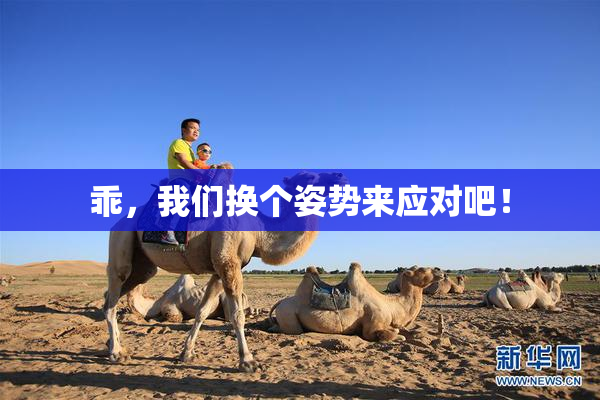 乖，我们换个姿势来应对吧！