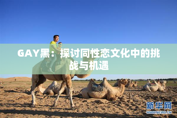 GAY黑：探讨同性恋文化中的挑战与机遇