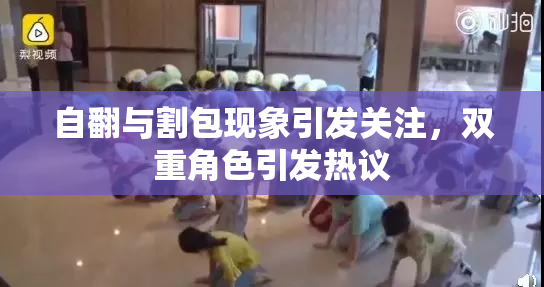 自翻与割包现象引发关注，双重角色引发热议