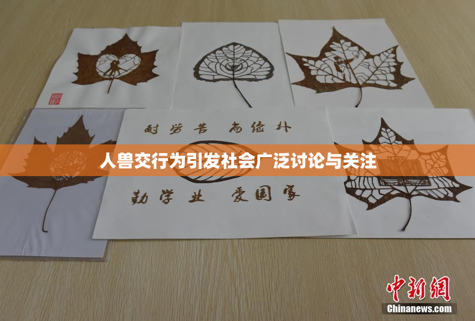 人兽交行为引发社会广泛讨论与关注