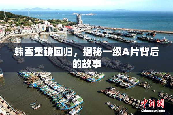 韩雪重磅回归，揭秘一级A片背后的故事