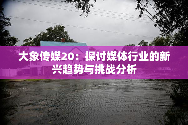 大象传媒20：探讨媒体行业的新兴趋势与挑战分析