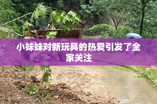 小妹妹对新玩具的热爱引发了全家关注