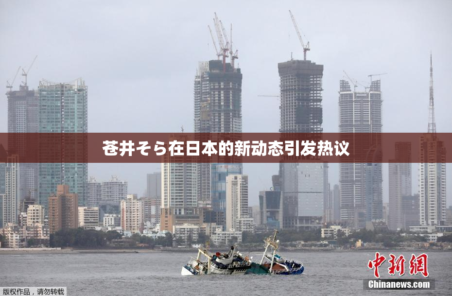 苍井そら在日本的新动态引发热议