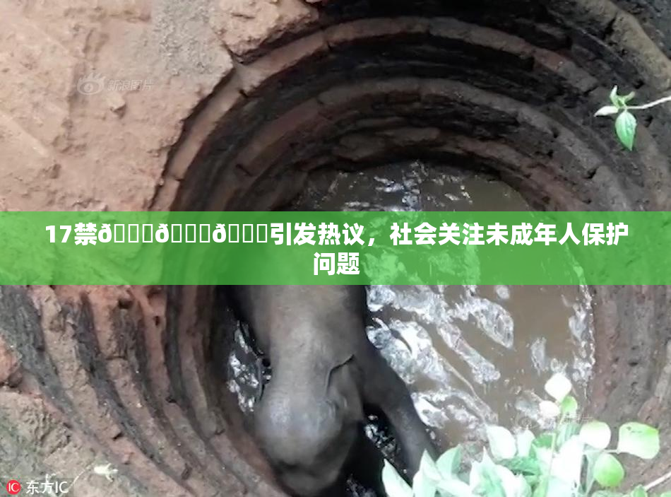 17禁🍆🍑🔞引发热议，社会关注未成年人保护问题