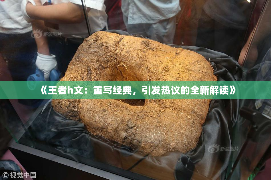 《王者h文：重写经典，引发热议的全新解读》