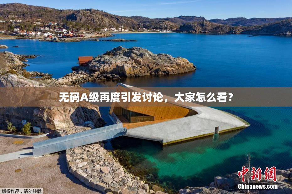 无码A级再度引发讨论，大家怎么看？