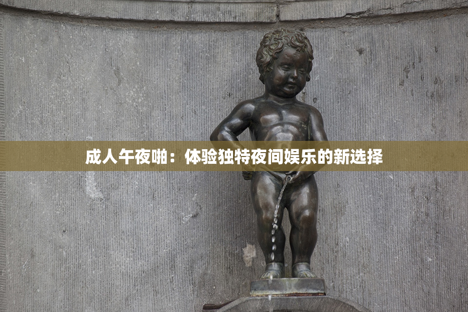 成人午夜啪：体验独特夜间娱乐的新选择