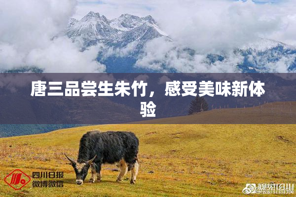 唐三品尝生朱竹，感受美味新体验