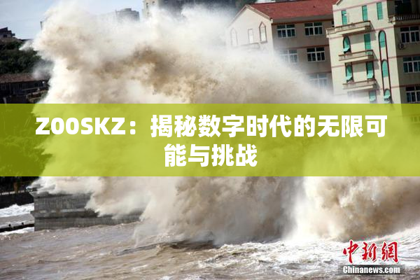 Z00SKZ：揭秘数字时代的无限可能与挑战
