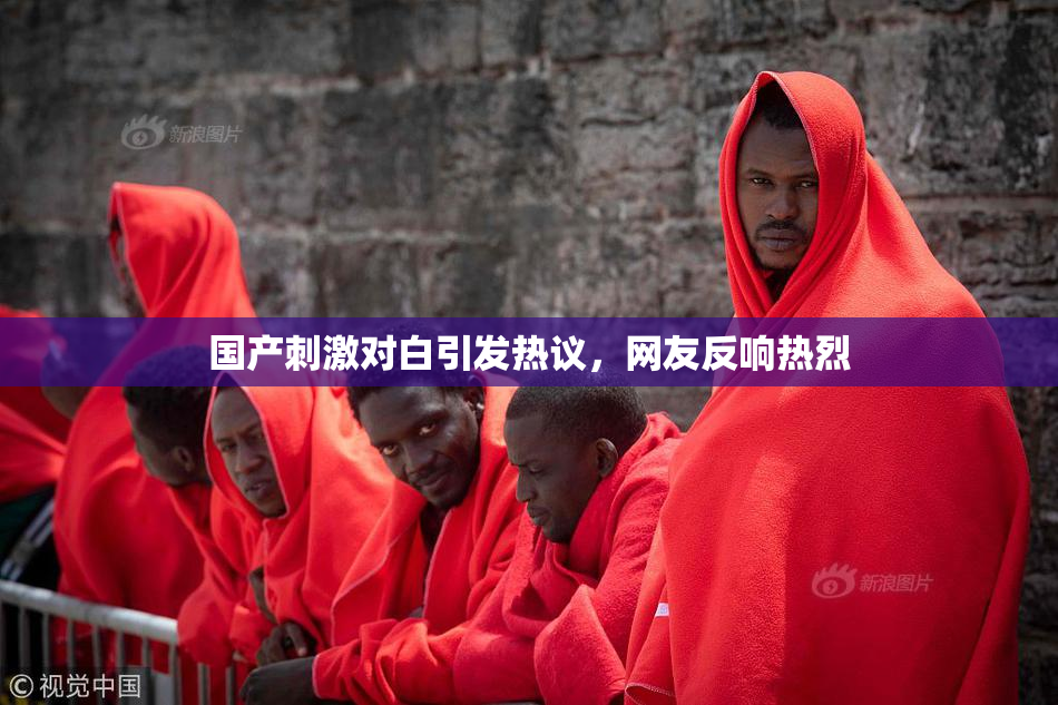 国产刺激对白引发热议，网友反响热烈