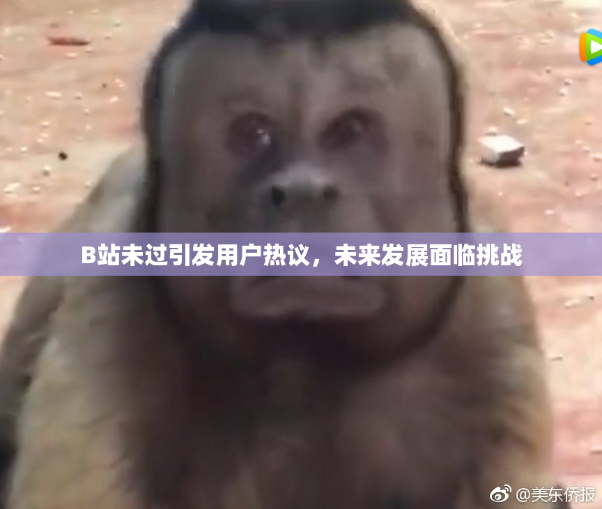 B站未过引发用户热议，未来发展面临挑战