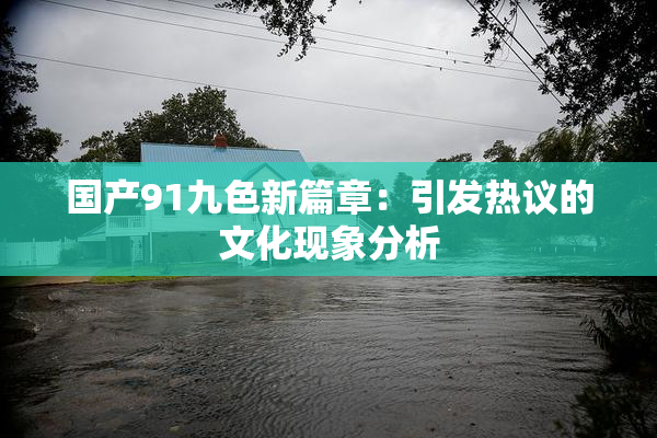 国产91九色新篇章：引发热议的文化现象分析