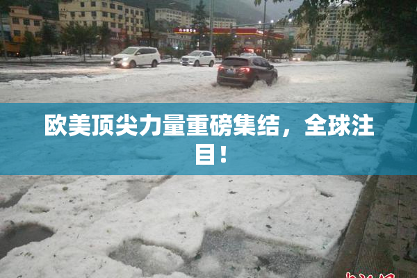 欧美顶尖力量重磅集结，全球注目！